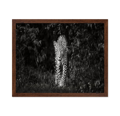 Leopard Silent Approach