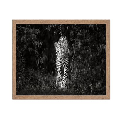 Leopard Silent Approach