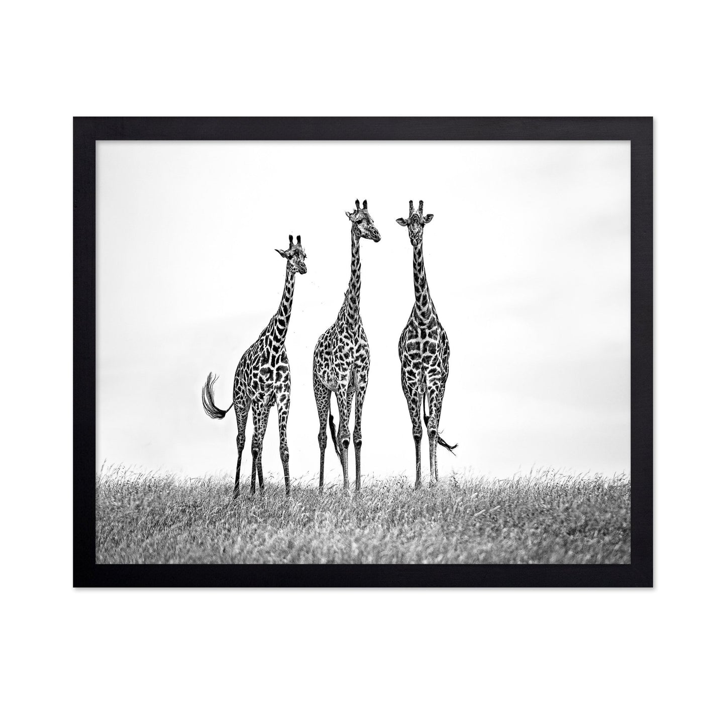 Giraffe Trio Stand
