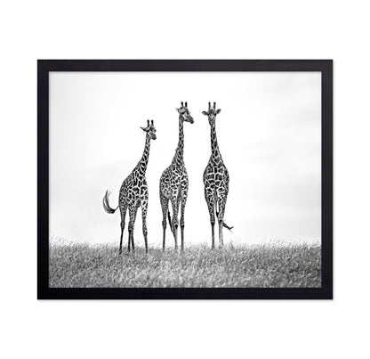 Giraffe Trio Stand