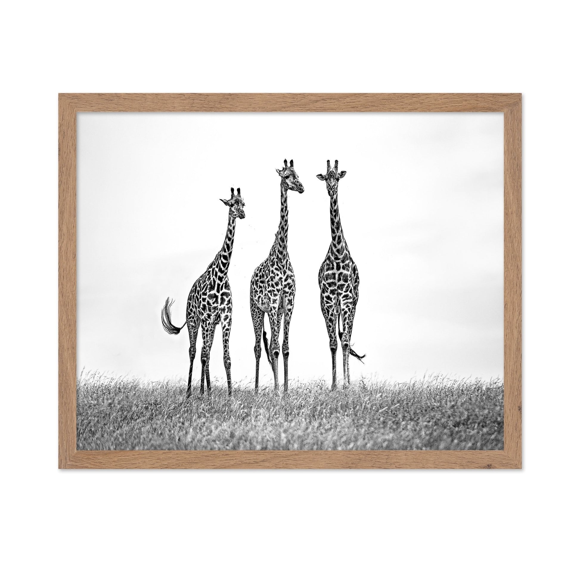 Giraffe Trio Stand