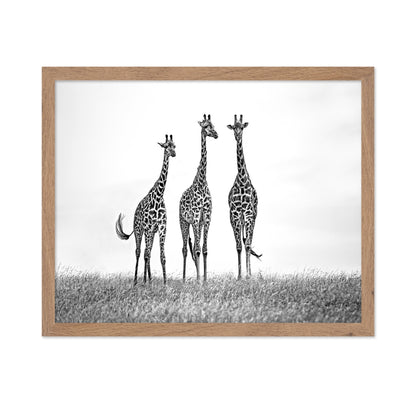 Giraffe Trio Stand