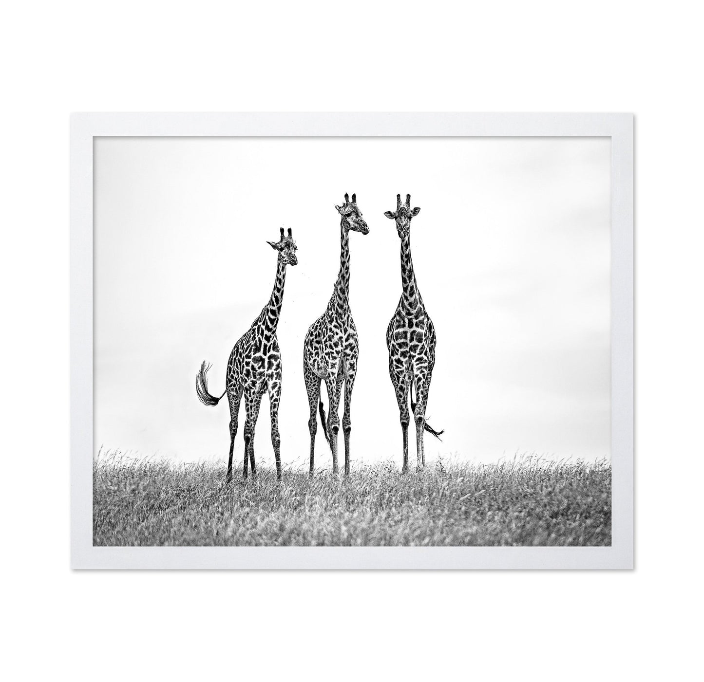 Giraffe Trio Stand