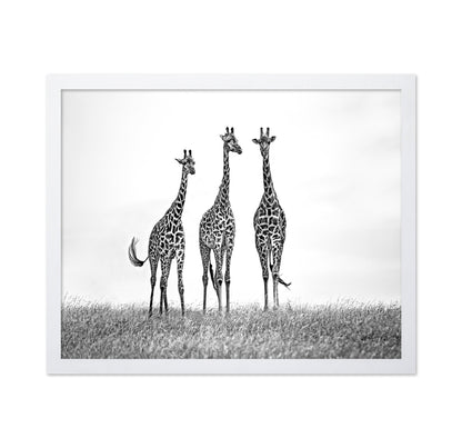Giraffe Trio Stand