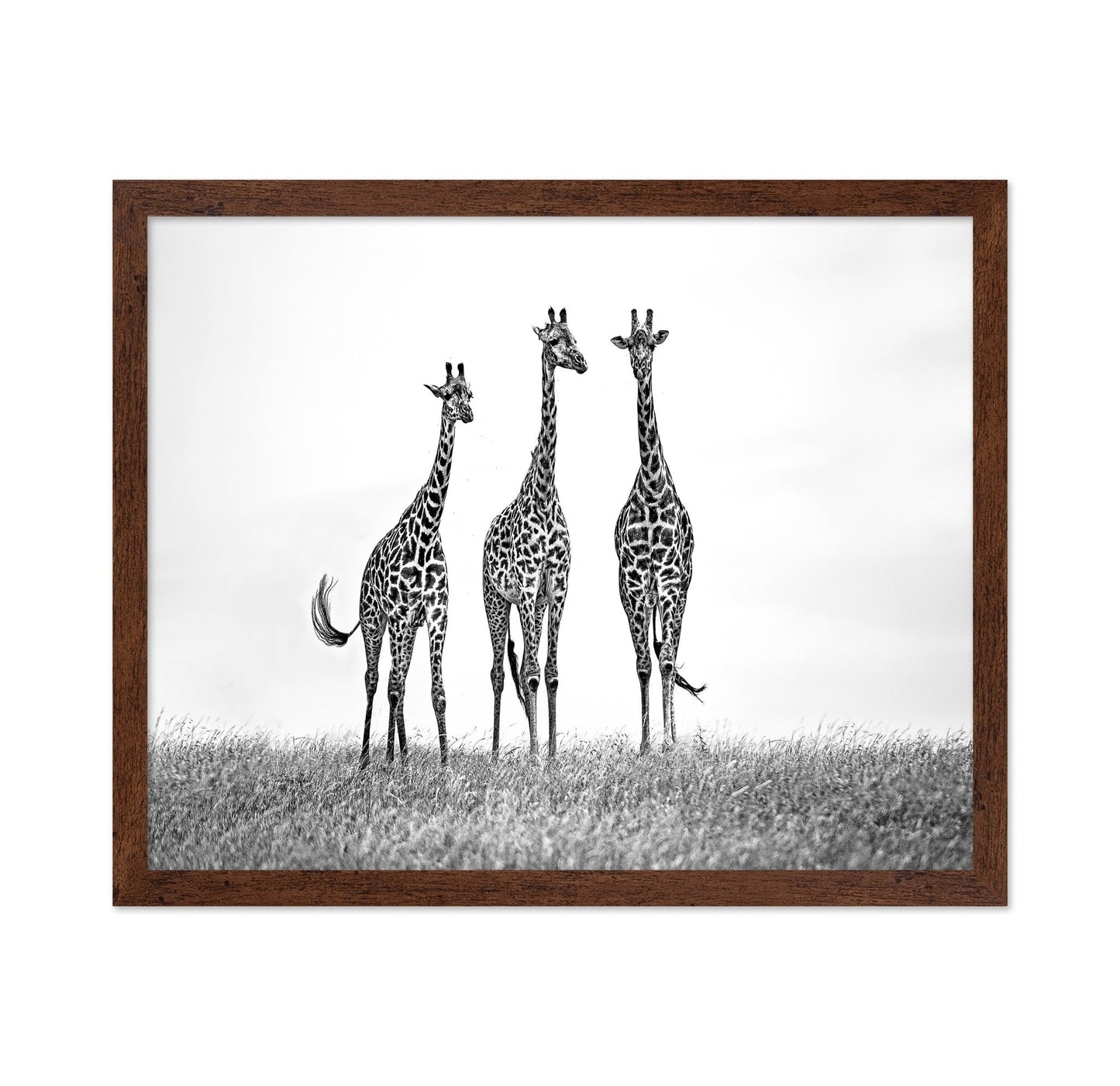 Giraffe Trio Stand