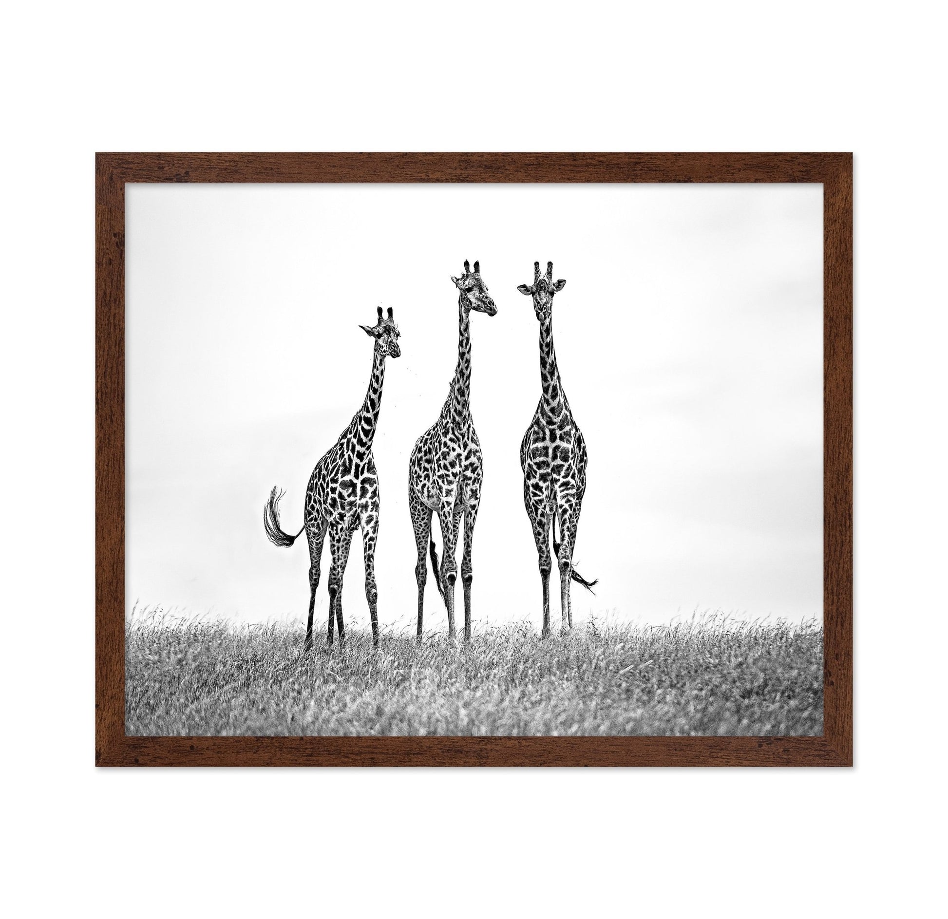 Giraffe Trio Stand