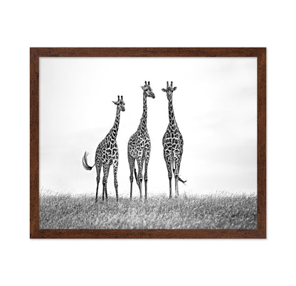Giraffe Trio Stand