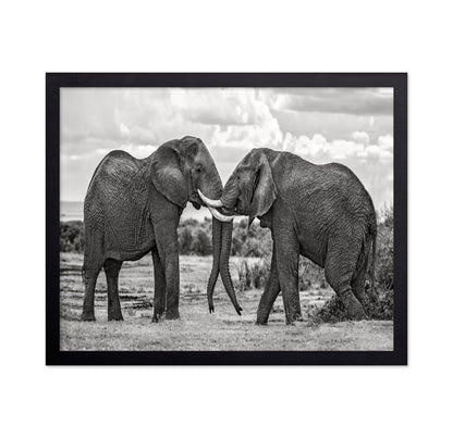 Elephants Gentle Bond