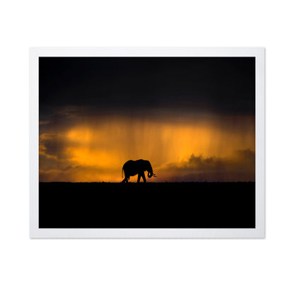 Elephant Sunset Silhouette No1