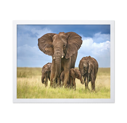 Elephant Family March