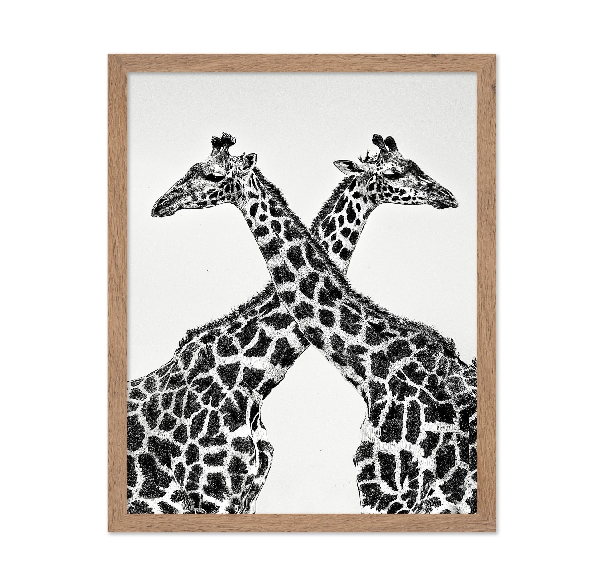 Giraffe Mirror Pair