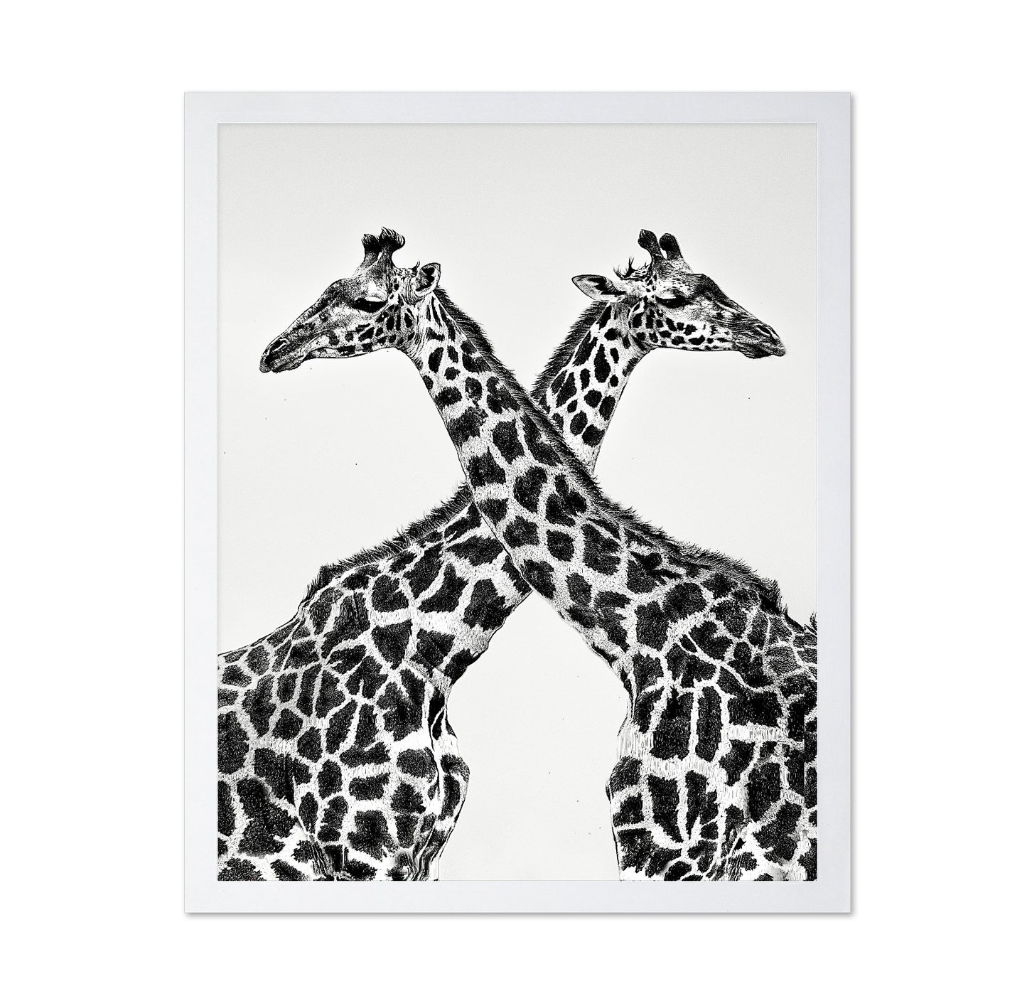 Giraffe Mirror Pair