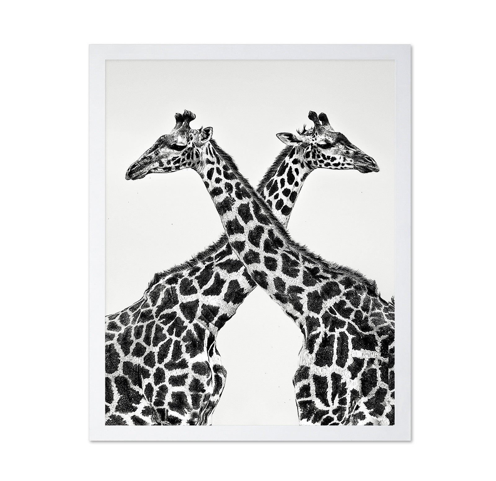 Giraffe Mirror Pair