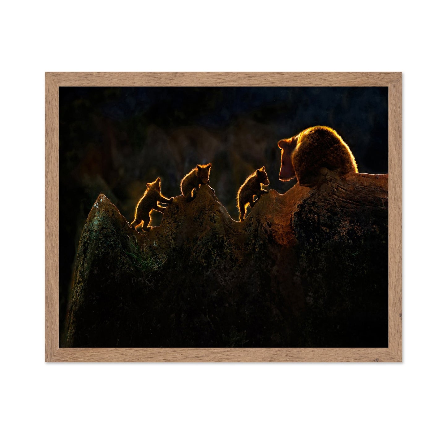 Bear Cubs Ridge Climb