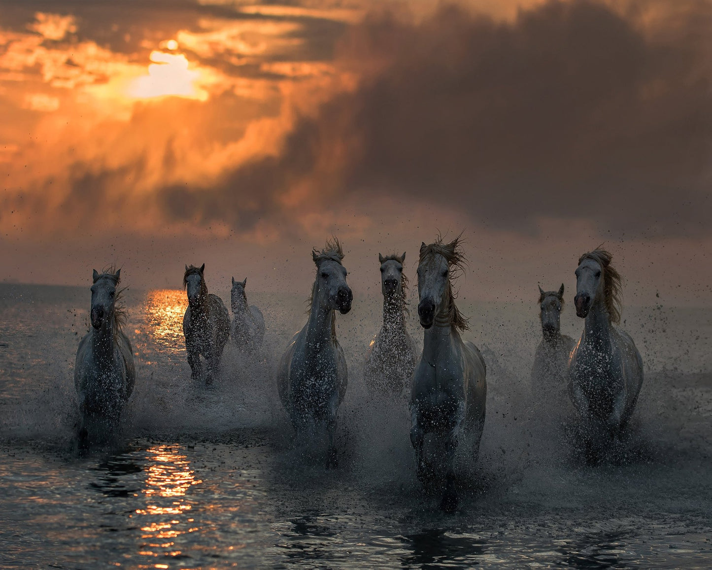 Wild Horses Sunset Run