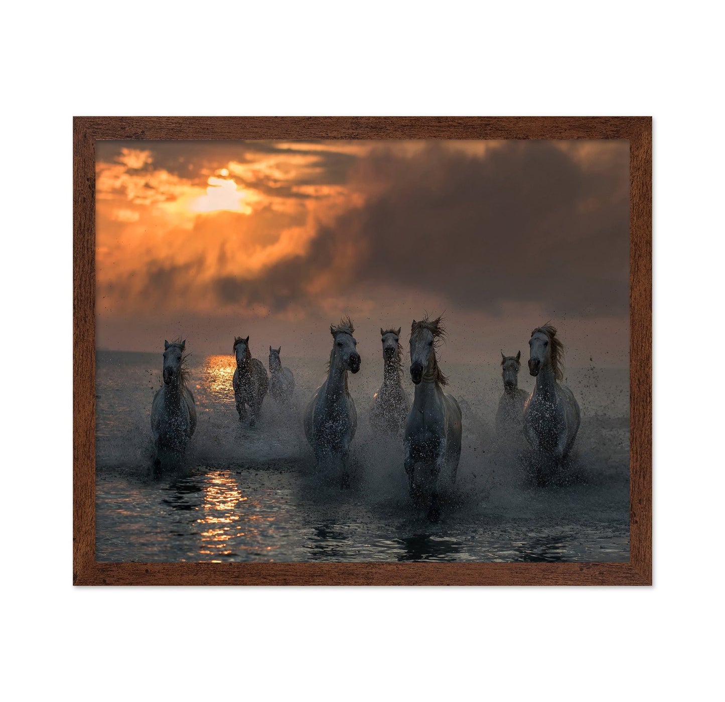 Wild Horses Sunset Run