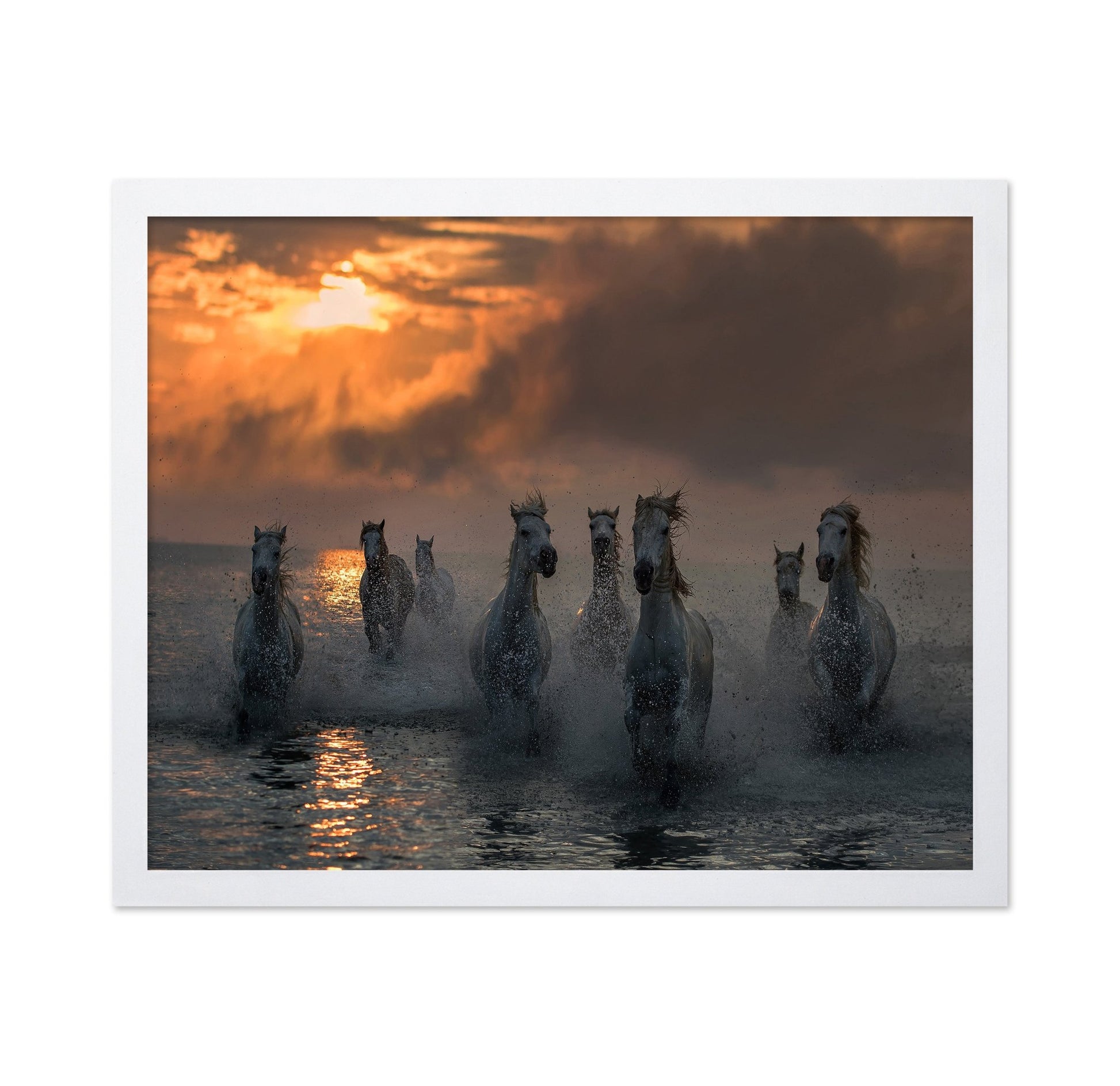 Wild Horses Sunset Run