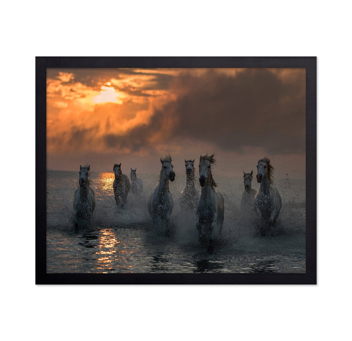 Wild Horses Sunset Run