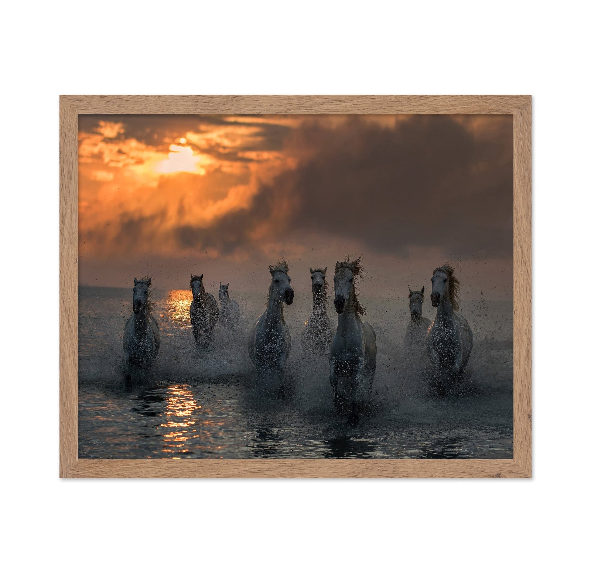 Wild Horses Sunset Run