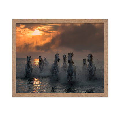 Wild Horses Sunset Run