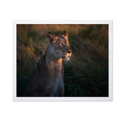Lioness Golden Watch