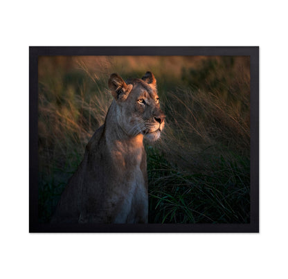 Lioness Golden Watch