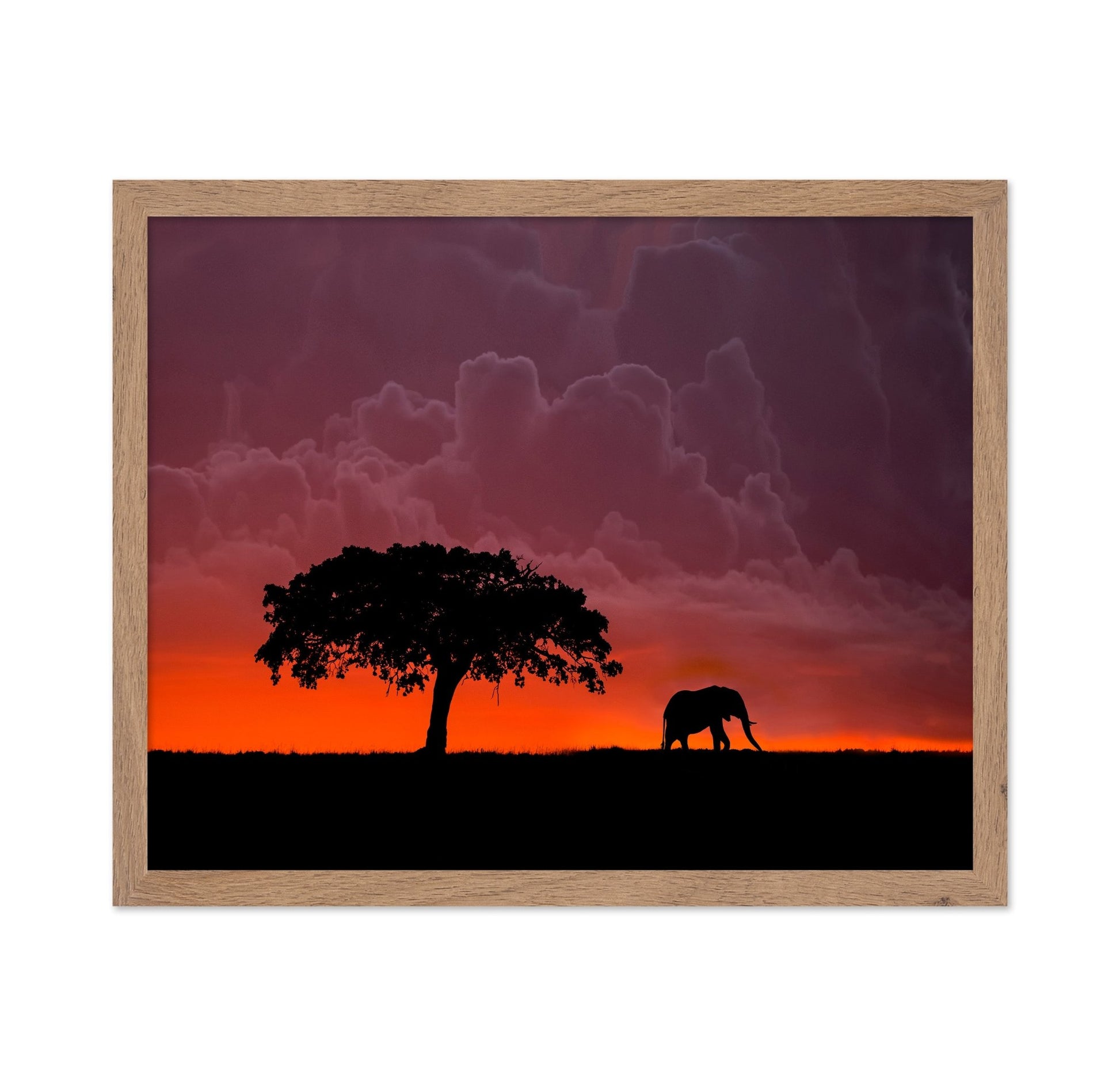 Elephant Sunset Silhouette No2