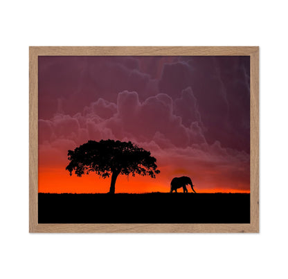 Elephant Sunset Silhouette No2