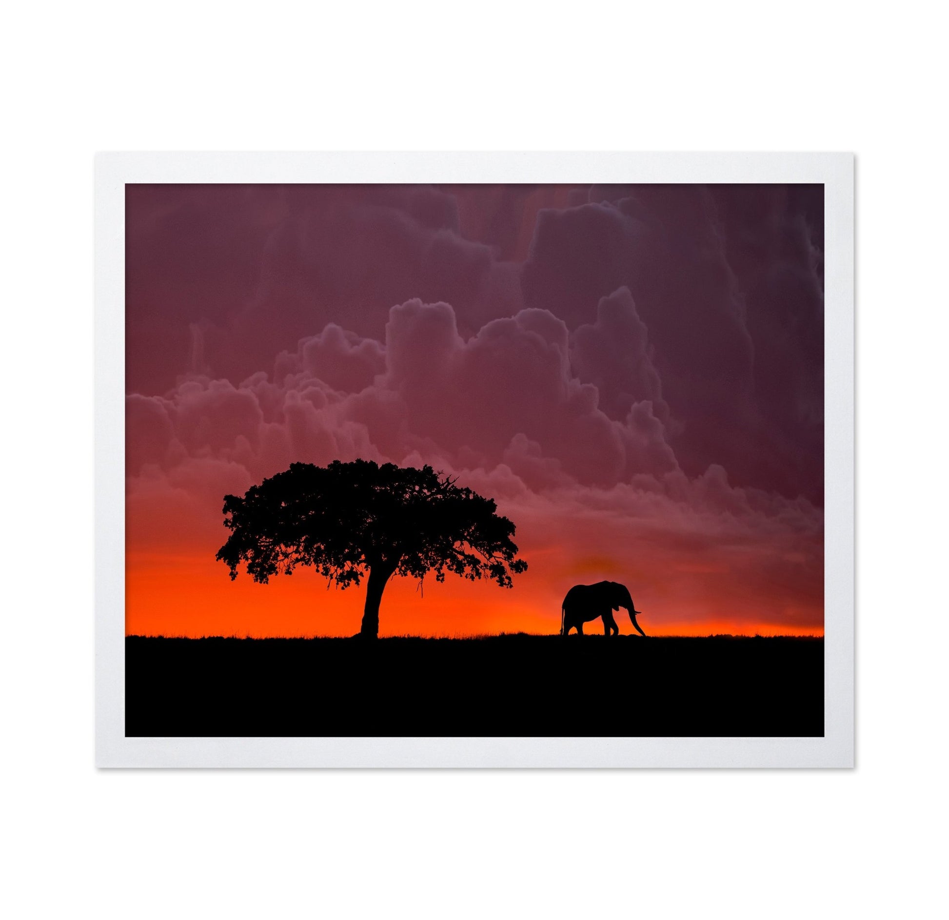 Elephant Sunset Silhouette No2