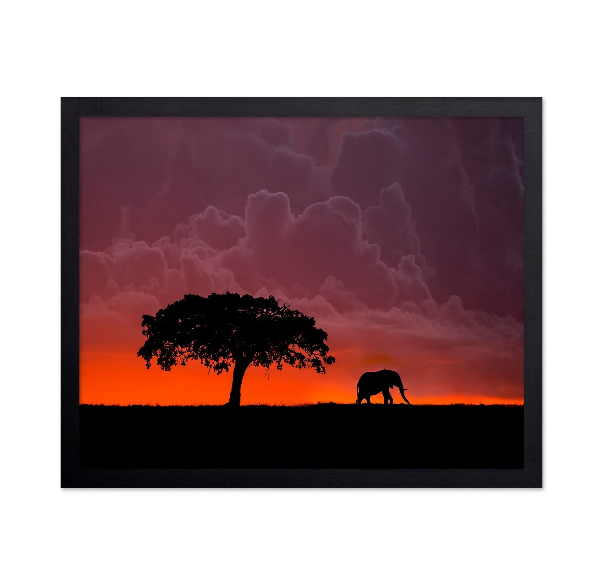Elephant Sunset Silhouette No2