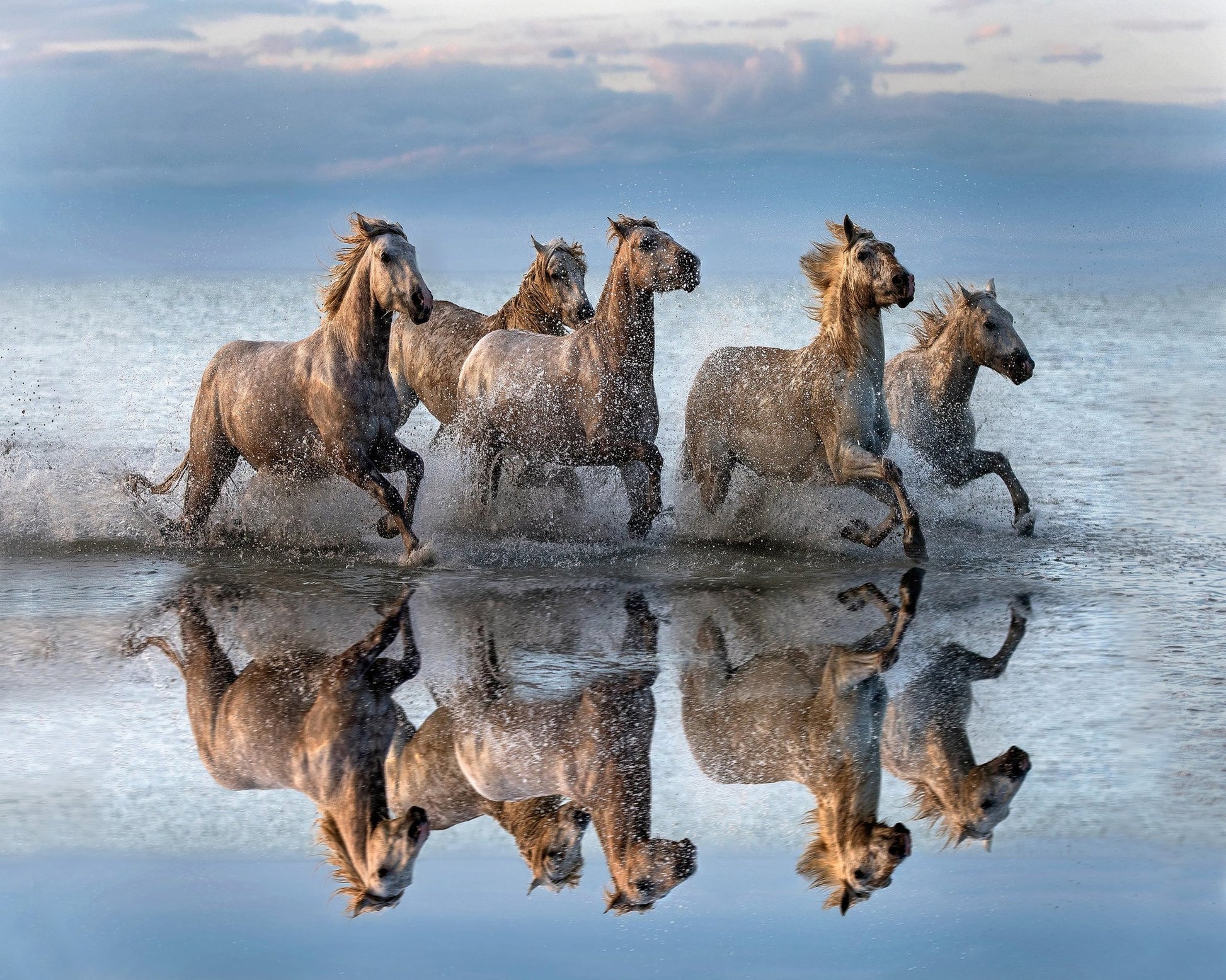 Running Sea Horses