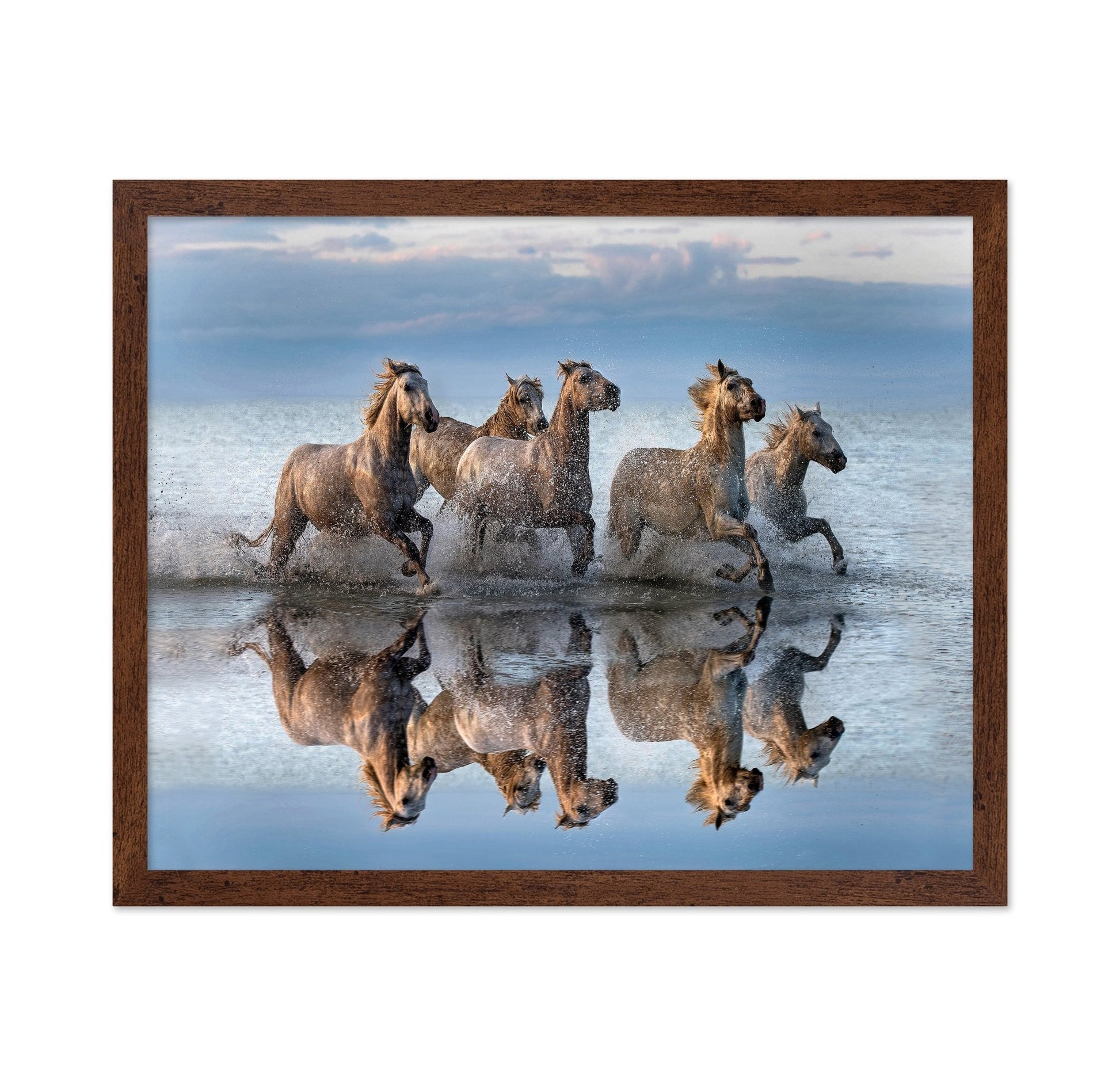 Running Sea Horses