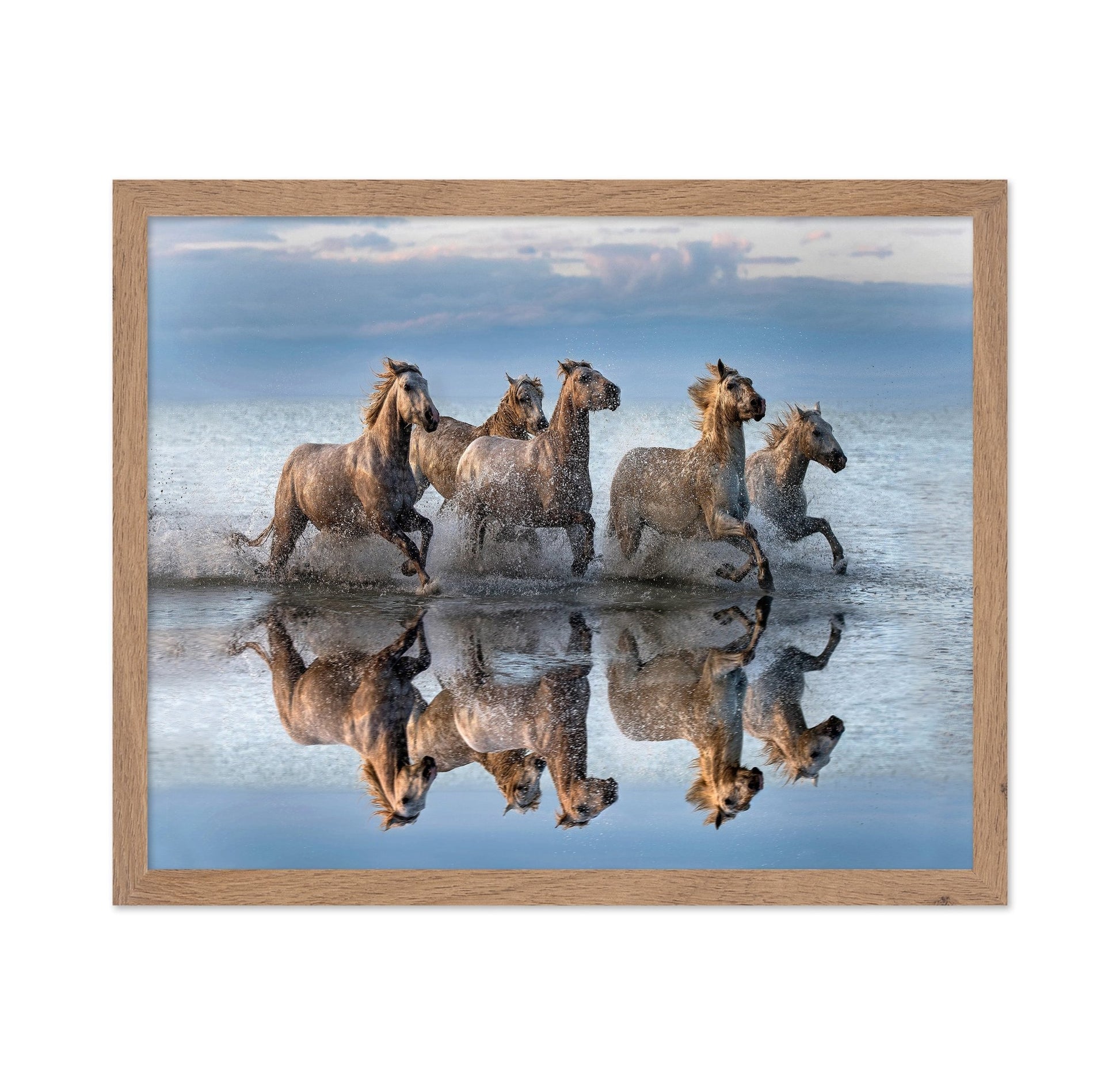 Running Sea Horses