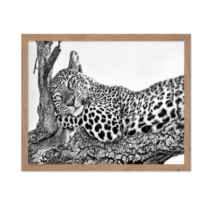 Resting Leopard
