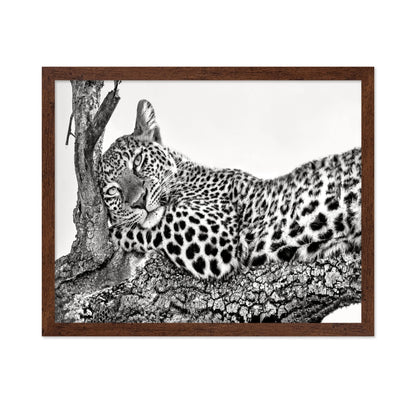 Resting Leopard