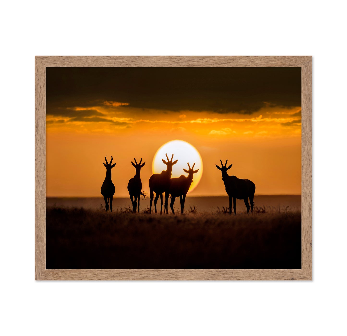 Antelope Sunset