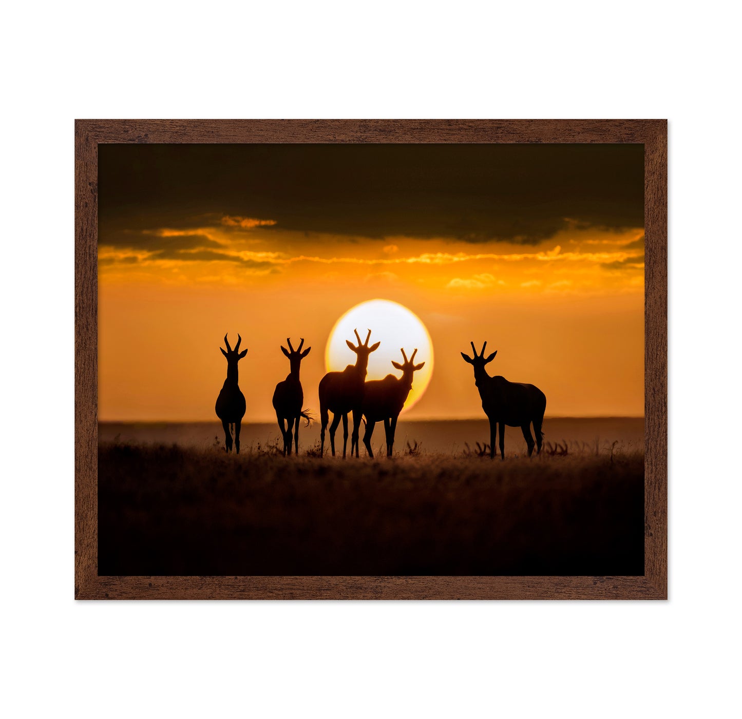 Antelope Sunset