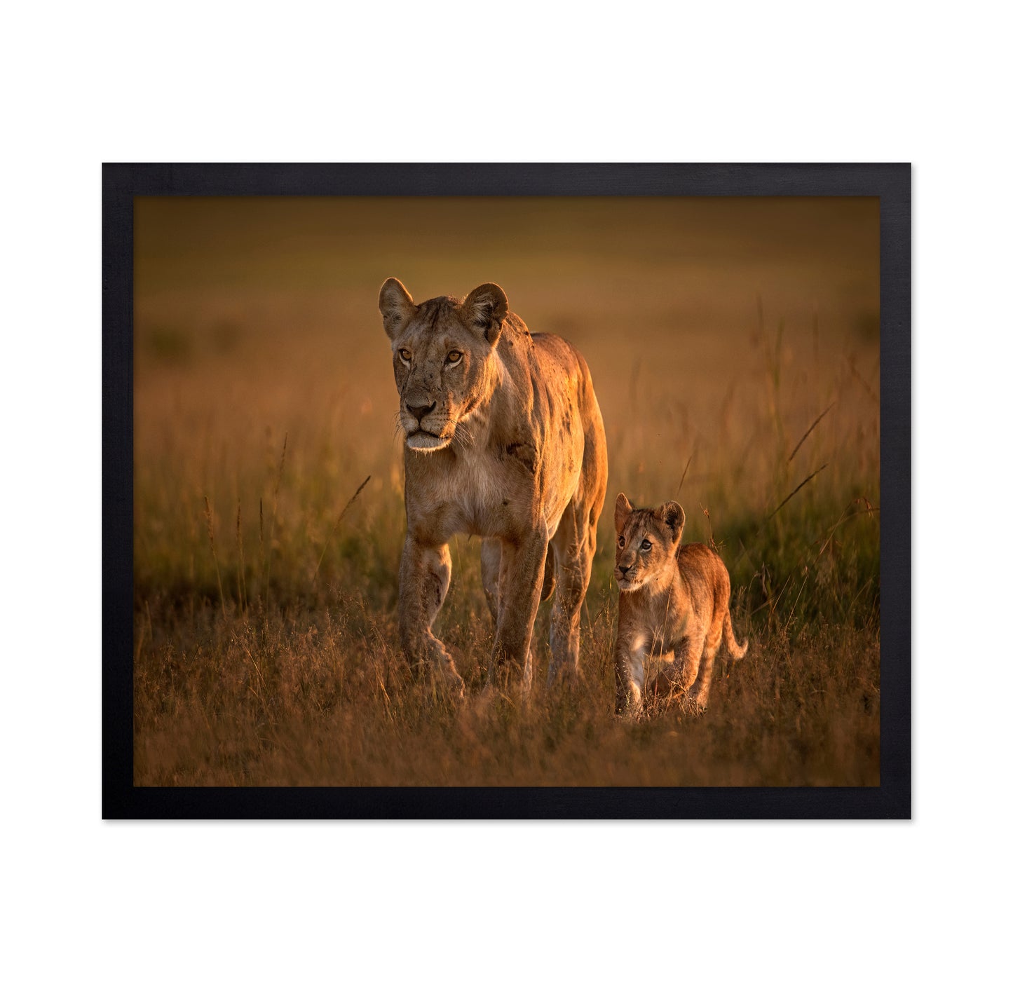 Lioness And Cub