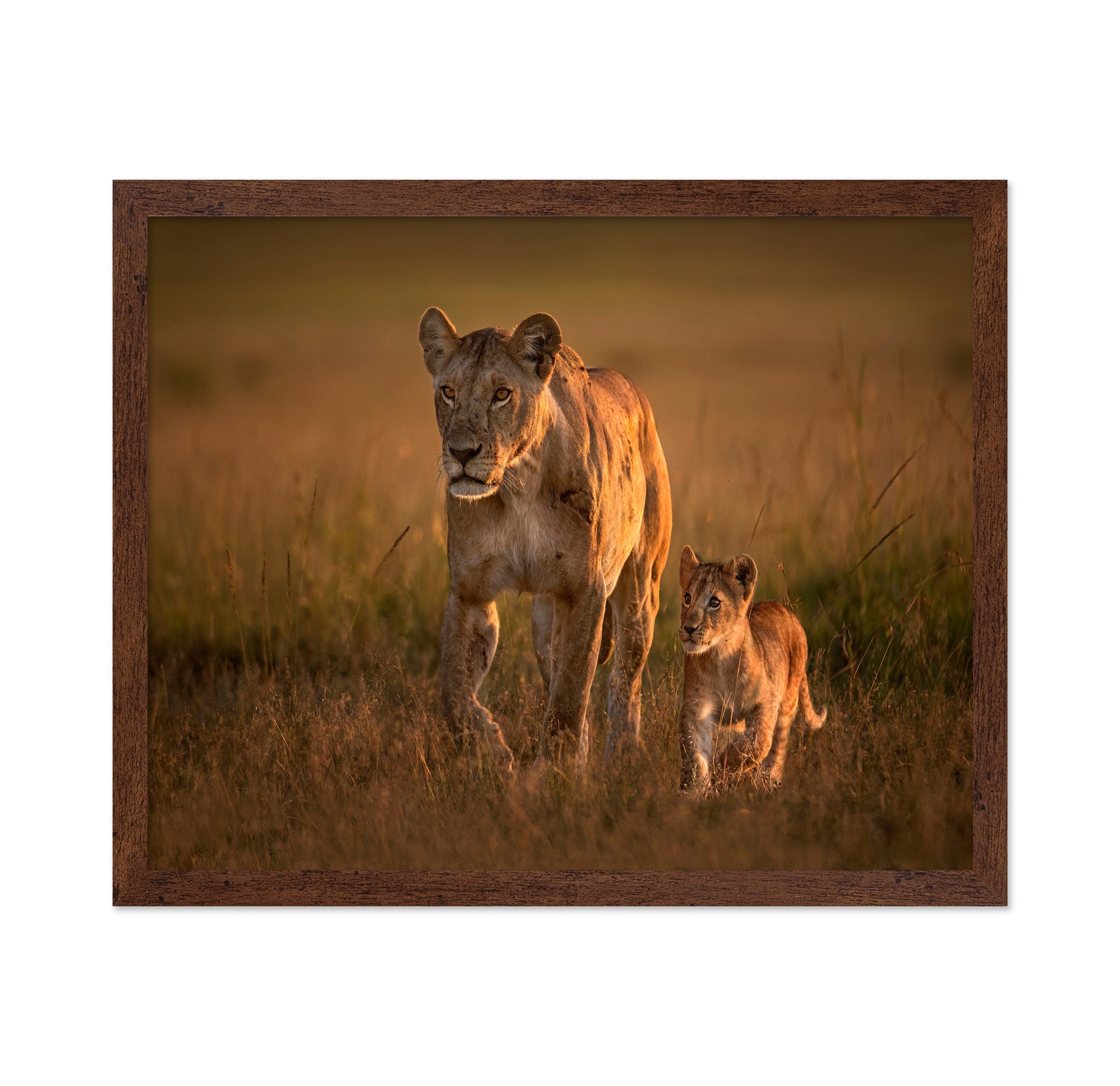 Lioness And Cub