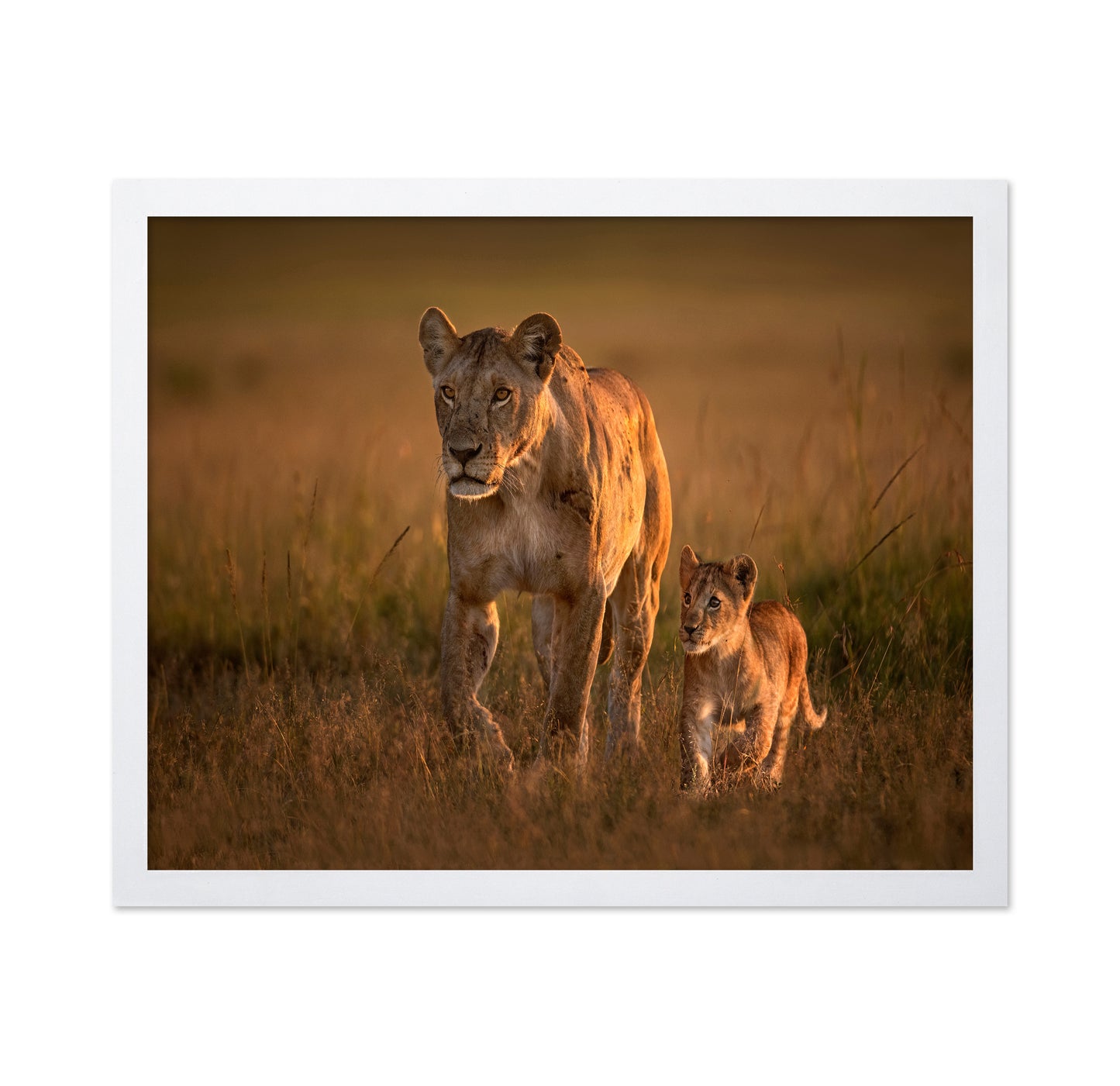 Lioness And Cub