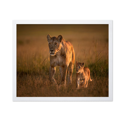 Lioness And Cub