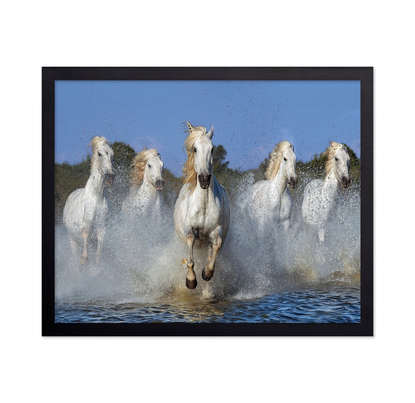White Horses Running No2
