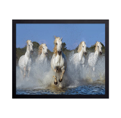 White Horses Running No2