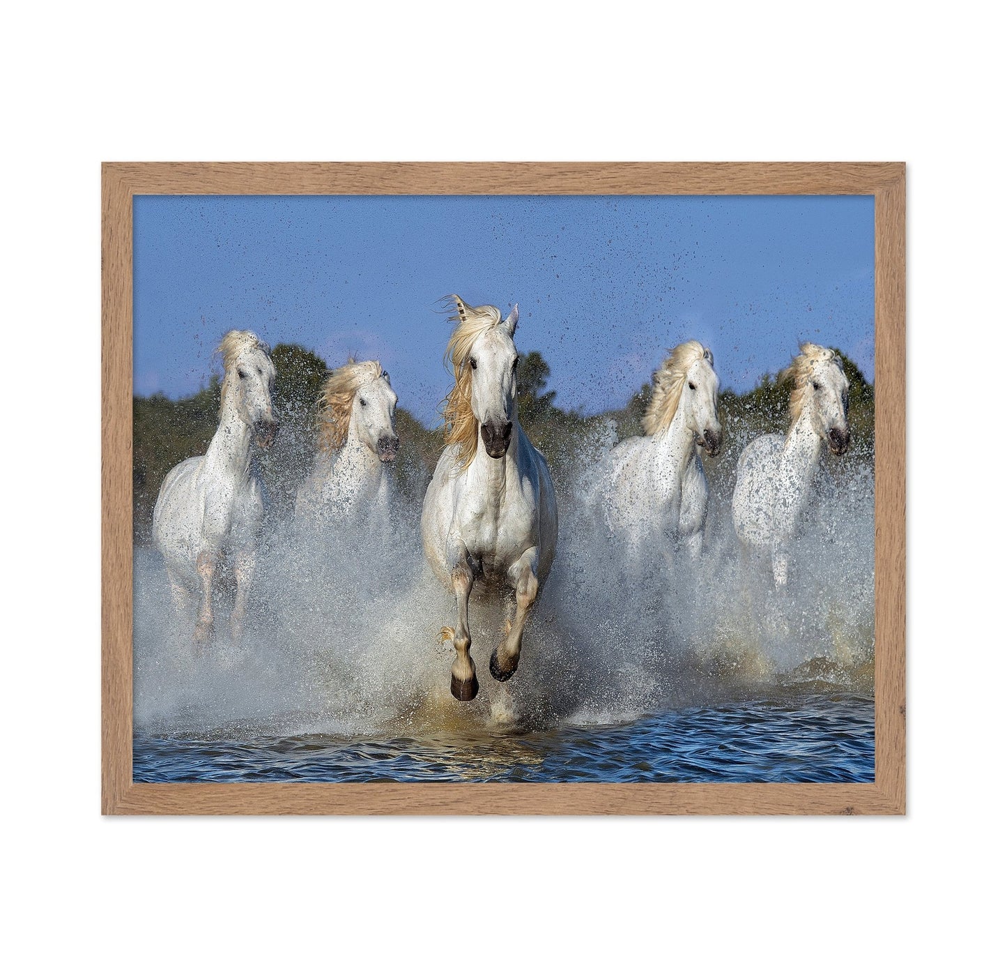 White Horses Running No2