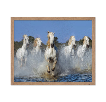 White Horses Running No2