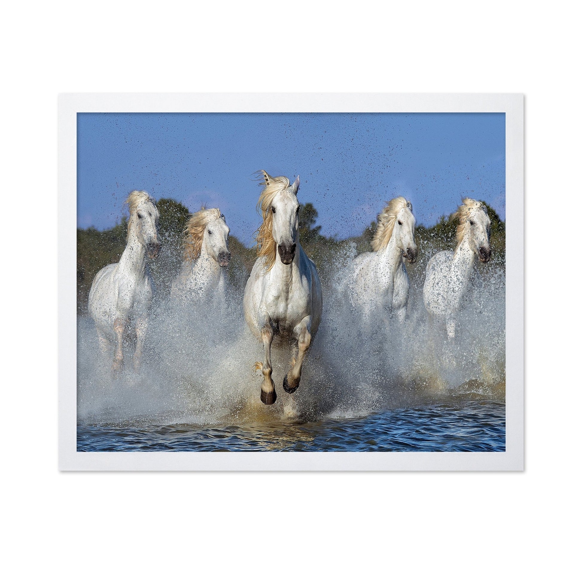 White Horses Running No2