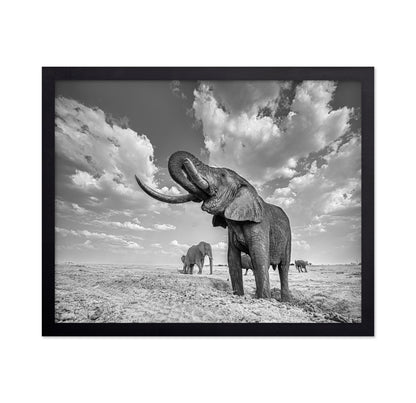Majestic Elephant Portrait