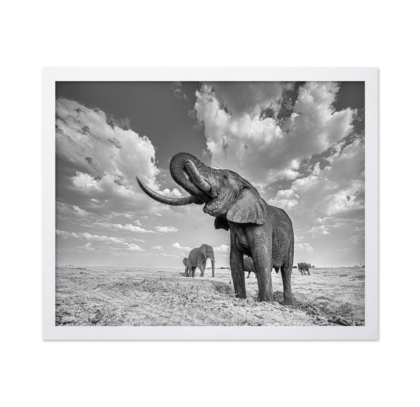 Majestic Elephant Portrait