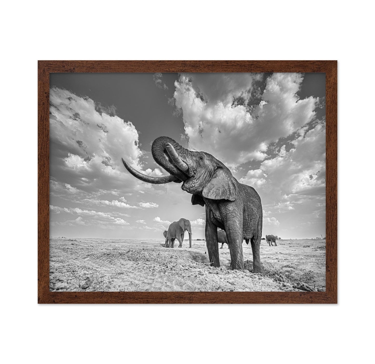 Majestic Elephant Portrait