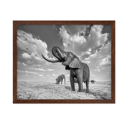 Majestic Elephant Portrait